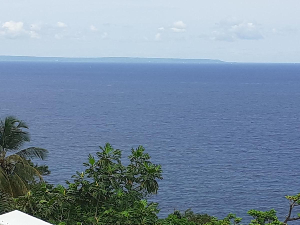 Awmony'Kaz, Gite A Trois-Rivieres Guadeloupe Eksteriør billede